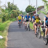 Bali Cycling Countryside