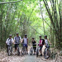 Bali Cycling Bamboo Forest