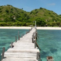 komodo island kanawa island