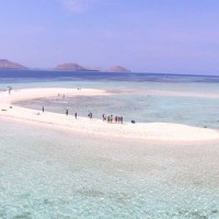 Komodo Tour Package (Taka Makasar)